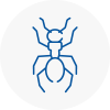 Ant Removals In Broadstone