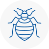 Bed Bug Extermination In Broadstone