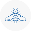 Bee Nest Removal Broadstone