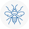 Broadstone Hornet Nest Removals