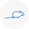 Mice Exterminators In Broadstone