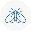 Moth Control Specialists In Broadstone